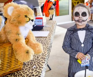 Howl-O-Ween has all kinds of animals for kids to meet, even stuffed ones! Photo courtesy of  The Living Desert
