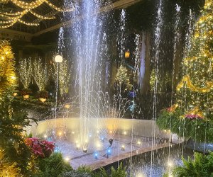  A Longwood Christmas
