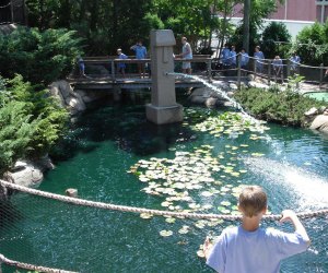 Tiki Action Park is a local amusement park offering mini golf and more