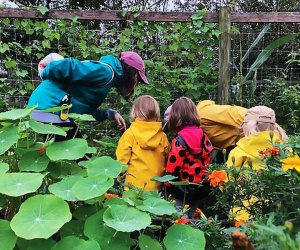 Small children look at the garden at the Queens County Farm Museum