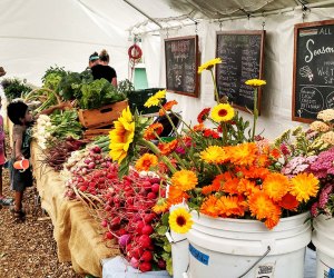 Visit the seasonal farm at the Queens County Farm Museum for fruit, vegetables, and flowers in a rainbow of colors. 