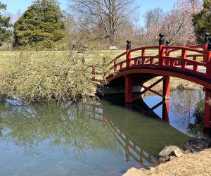 The red bridge at Duke Farms