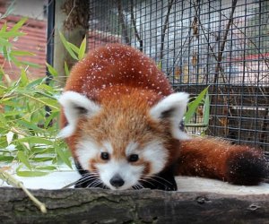 The Best Zoo in Every State: Zoo Boise