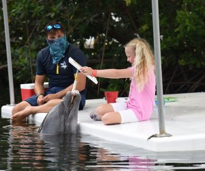 30 Things To Do in the Florida Keys with Kids: Theater of the Sea