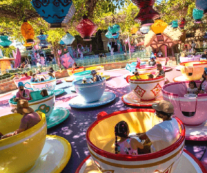 Disneyland: Best Theme Parks in the US for Special Needs Kids