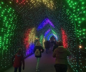  A Longwood Christmas