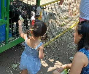 Green Meadows Farm hosts a weekend of kid-friendly fun, including face time with animals, playgrounds, bouncers, and more during its Children's Festival. Photo courtesy of the event