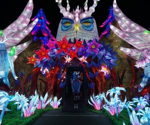 Tianyu Lights Festival Takes Over Citi Field