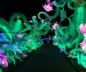 The Tianyu Lights Show lets visitors experience an enchanting night walk at Citi Field.