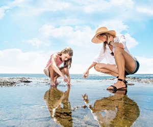 Beaches and tide pools make SoCal magic. Photo courtesy of VisitLagunaBeach.com