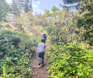 Hikes in San Francisco: an afternoon is well spent in Tilden Regional Park