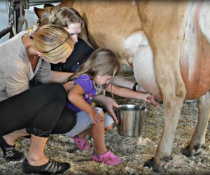 Farm stays near NYC: Hull-O-Farms