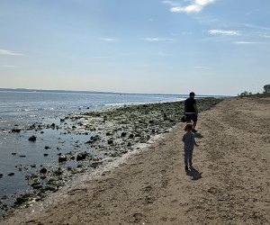 Wolfe's Pond Park Beach is a toddler-friendly beach in NYC