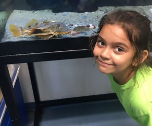 Aquariums near NYC: Marine Education Center