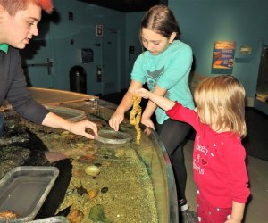 Photo of children at touch-tank in Maritime Aquarium.