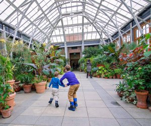 Balmy temps and spectacular flora invite exploration. Photo courtesy of Tower Hill Botanic Garden