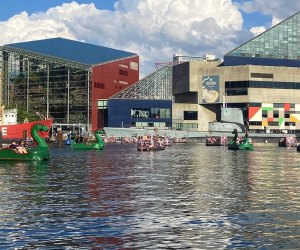 Travel Baltimore Chessie Dragon Paddle Boats and Electric Pirate Ships