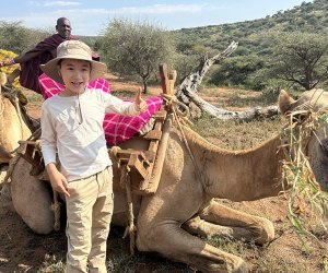 Embrace the slow rhythm of a camel ride on a safari adventure. Photo by Diana Kim