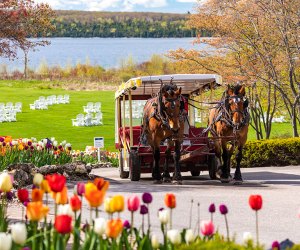 Mackinac Island, MI: Unique Family Vacations in the USA