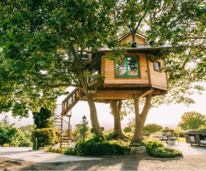California Vacation Home Rentals for Families: Sleep in a treehouse
