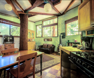 California Vacation Home Rentals for Families: A tree is growing in the middle of the house!