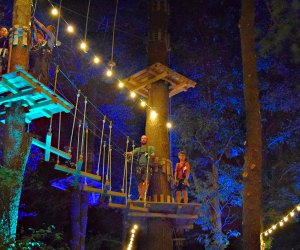 Weekend Fun: Fisherman's Feast, Fairs, and Butterflies Photo courtesy of TreeTop Adventures