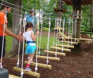 Ziplines near NYC Pocono TreeVentures