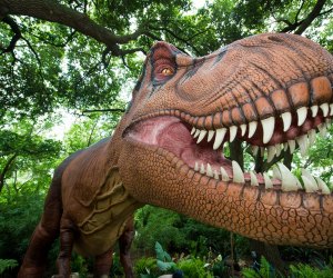 Our Dinosaurs Virtual Reality Experience (and Giveaway!) Rural Mom