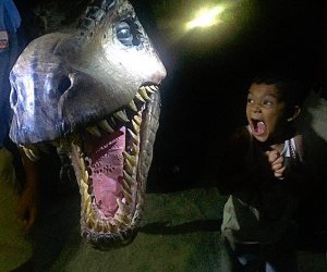 Watch out for the T-Rex at Dinosaurs After Dark on Saturday. Photo courtesy of Field Station: Dinosaurs