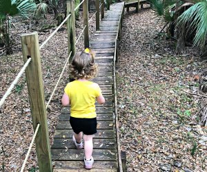 Trout Lake Nature Center Cat Walk