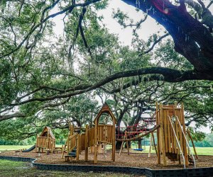 The playground at Tucker Ranch Preserve sports a treehouse feel surrounded by nature.