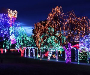 Turtle Back Zoo's FREE Holiday Lights display kicks off this weekend. Photo courtesy of the zoo