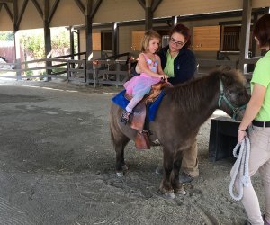 girl riding a pony with a guide at Turtle Back Zoo