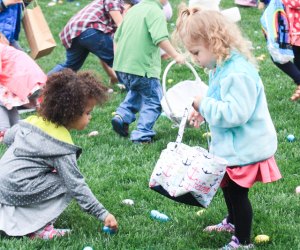 The Easter Bunny makes an appearance at various egg hunts throughout the DC area. Photo courtesy of the Town of Herndon Government
