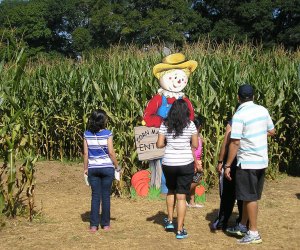 Pumpkin Patches Near Atlanta:  Uncle Shuck's Corn Maze
