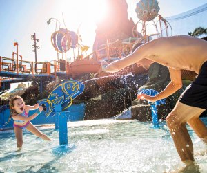Volcano Bay Top Water Parks in Orlando for Family Fun