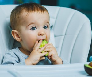 Baby-led weaning has become a popular method of feeding little ones their first foods. 