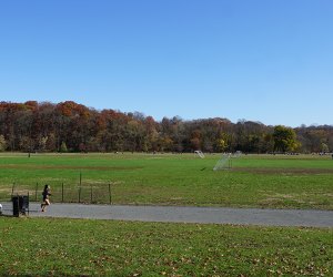 green fields van cortlandt park