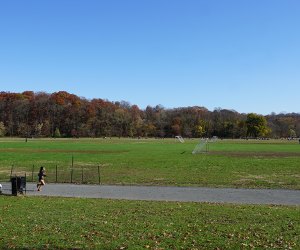 Van Cortlandt Park With Kids: Exploring the Bronx Green Space - Mommy  Poppins - Things To Do in New York City with Kids