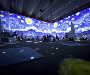 What's behind the wave of immersive Van Gogh exhibits