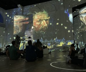 njoying Immersive Van Gogh in Chicago with Kids: see a starry night