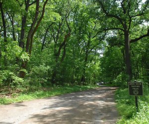 John Muir hiking train in Van Cortlandt Park