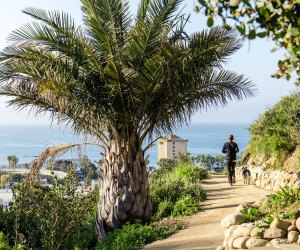New Year's Weekend Things To Do in LA: Free Gardens, Concerts and Movies in Your Car, & a Battleship Ventura Botanical Garden is free on New Year's Day. Photo courtesy of Visit Ventura