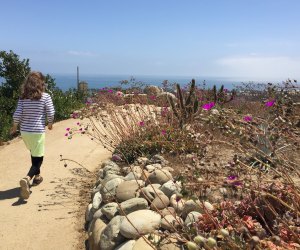 Things To Do in Los Angeles on Mother’s Day: Ventura Botanical Gardens