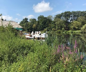 Ride the swan boats at Verona Park