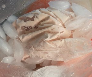 Put the cream mixture in a bag and that bag in a bag of ice to make ice cream in a bag.