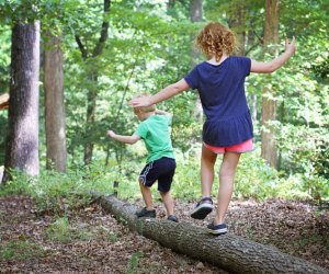 Hiking the forests of the Shenandoah Valley. Photo courtesy of Virginia State Parks