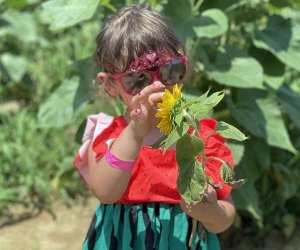 Whether it's the Tulip Festival in the spring, or the Sunflower Fest in late summer, there's always something fun happening at Waterdrinker Family Farms. 