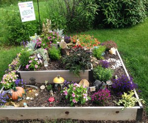 Wagner Farm Arboretum houses a fairy garden