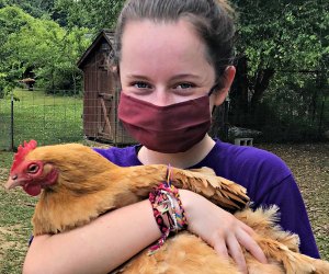 Learn how to care for animals at the farm. Photo courtesy of Wakeman Town Farm Sustainability Center